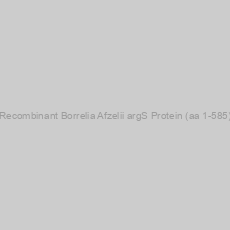 Image of Recombinant Borrelia Afzelii argS Protein (aa 1-585)